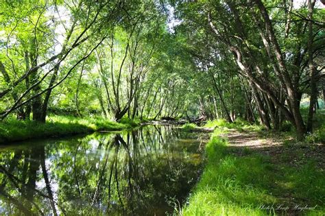 sendero molino del corcho|How to hike Sendero Molino del Corcho in Sierra Norte de Sevilla